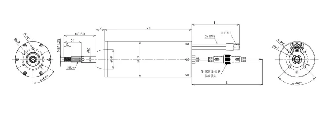 Quanly D70L165 90kv 12s-32s Waterproof Brushless Electric Motor 12.6kw Peak