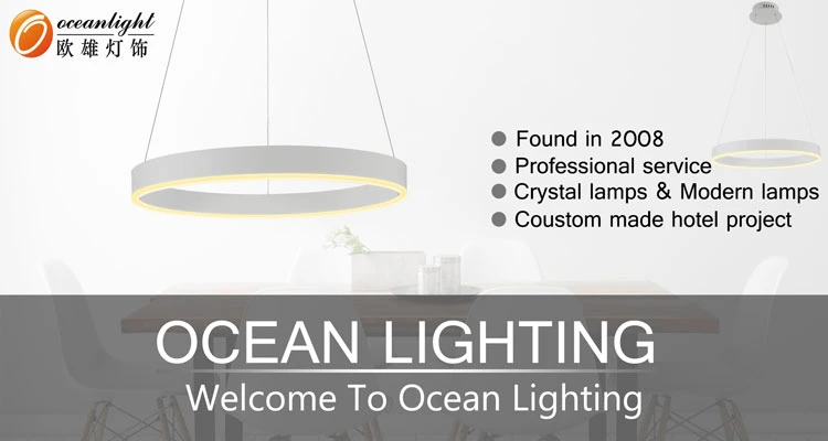 Wholesale Decorative Color Changing Lamps Optic Fiber Curtain Lighting (Om959)