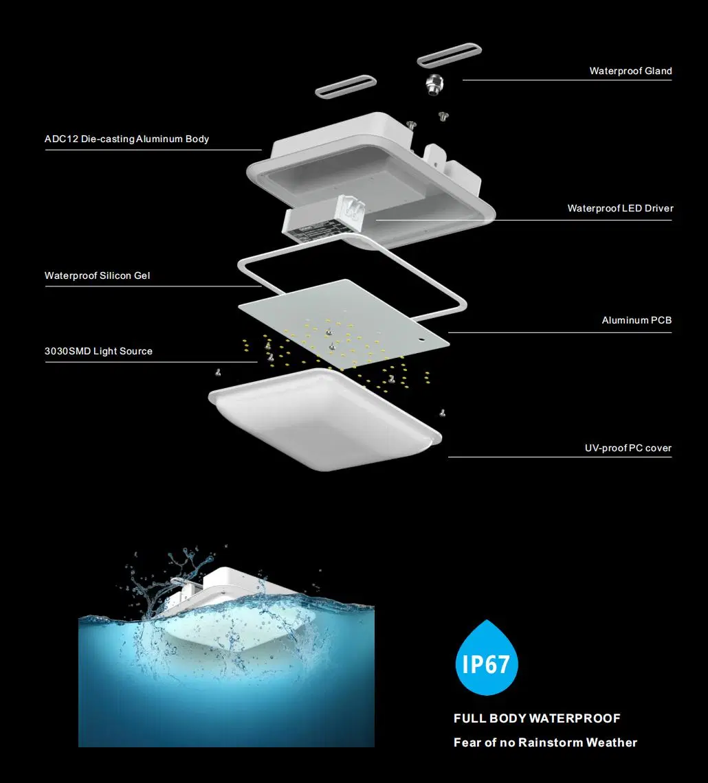 IP67 Waterproof Bathroom LED Outdoor Lighting Fixtures for Wall or Ceiling