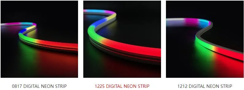 360 Piexl Dia25 23mm 24V RGB IC Neon Flex LED Light