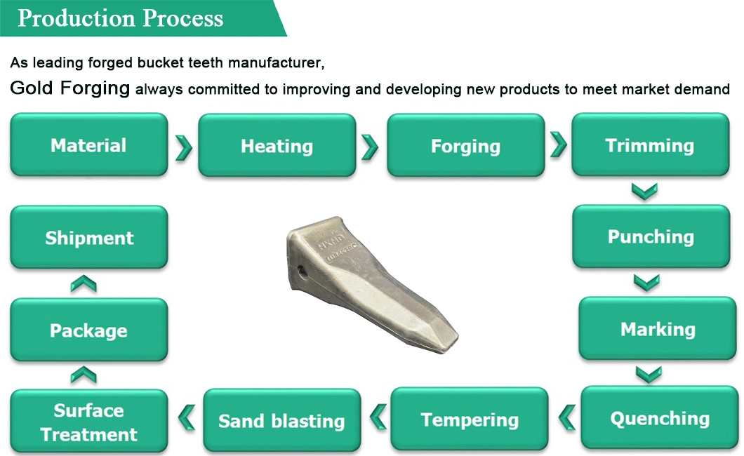 Hot Sale Forged Tooth Point 61na-31310RC for Hyundai R320 Rock Chisel Bucket Teeth and Adapter