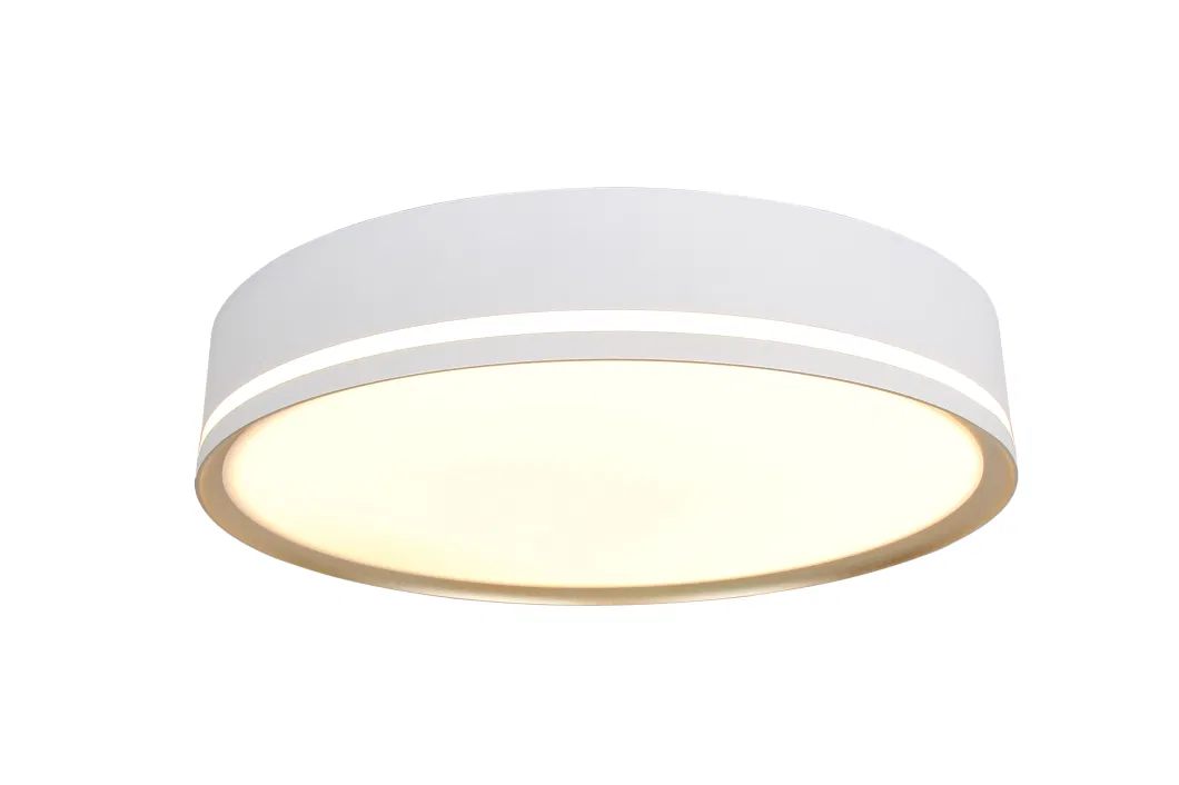 Masivel Lighting Indoor Modern LED Ceiling Light Modern Stylist LED Home Lighting