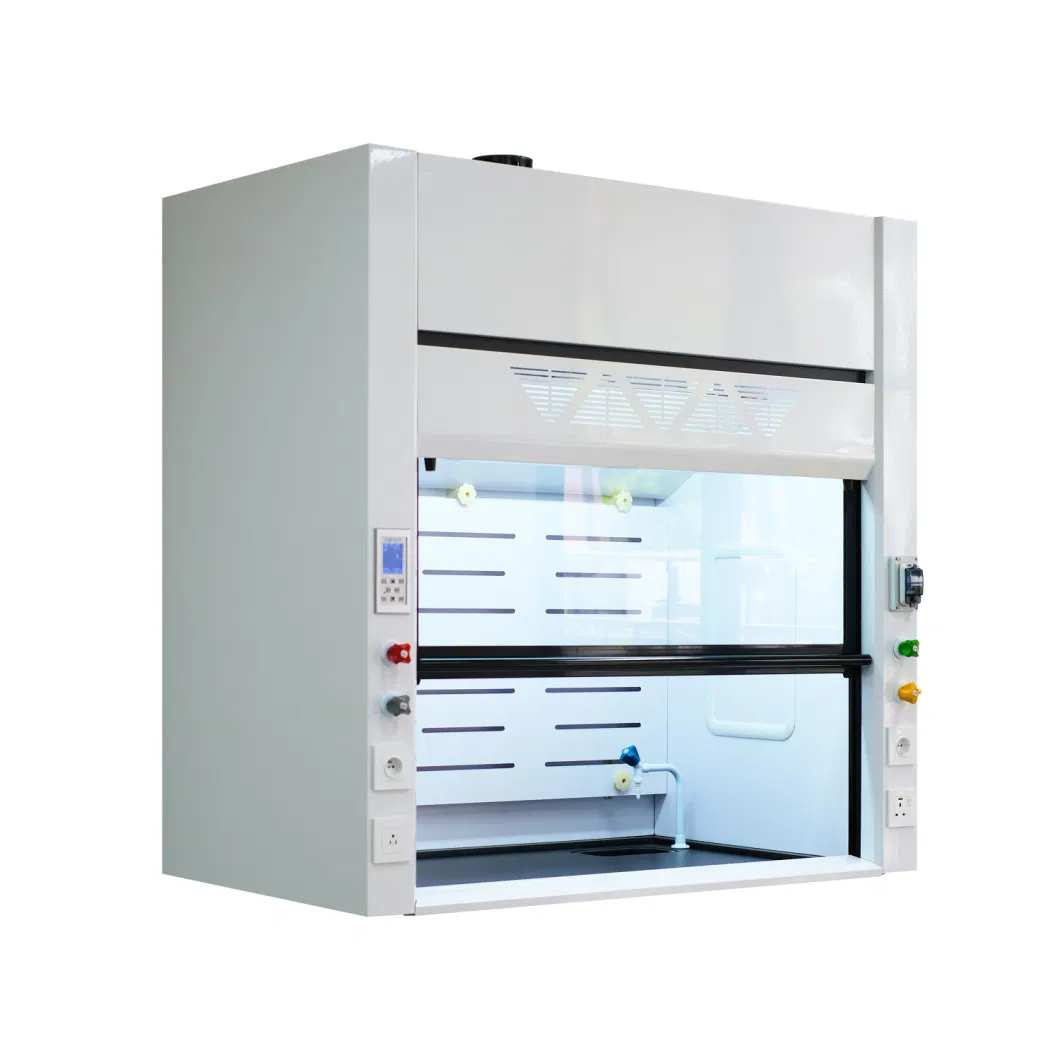 Pharmaceutical Factory Metallic Large Open C1d2 Lab Extractor Fume Hood Walkin with Horizontal Open Doors