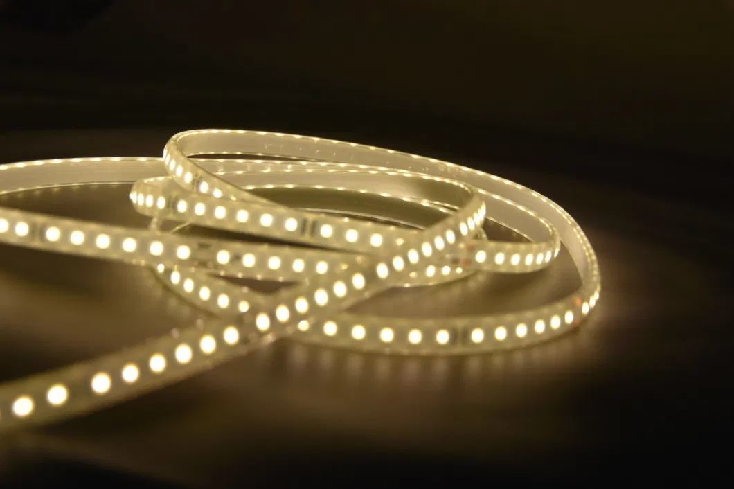 220V waterproof Strip SMD2835 120d Flex/Rope Light LED Strip Light