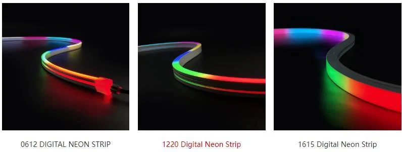 360 Piexl Dia25 23mm 24V RGB IC Neon Flex LED Light