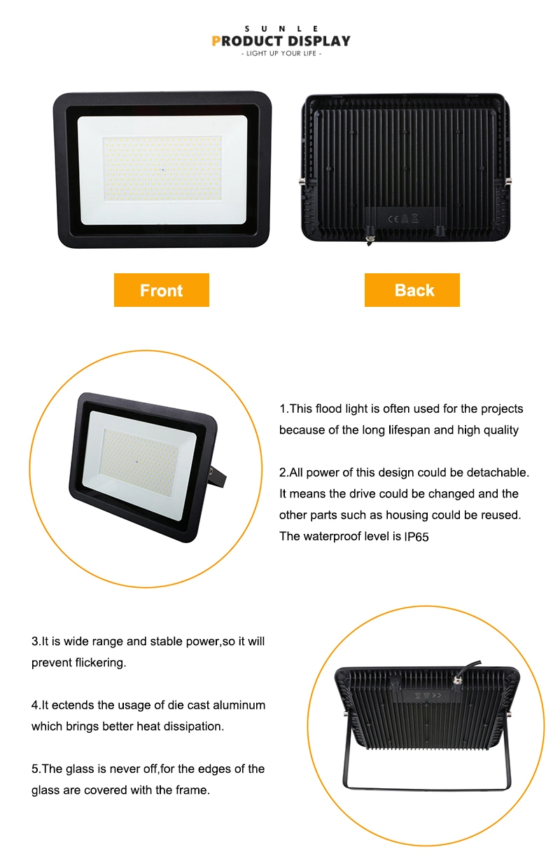 Basic Customization Outdoor LED Lighting Waterproof Floodlight 10W 20W 30W 50W 80W 100W 150W 200W 300W 400W COB SMD LED Flood Light