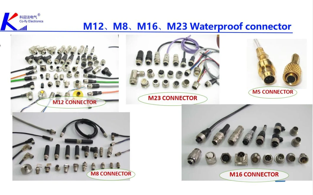 Moulded M12 Female Electrical Connector with RJ45 Male Adapter Plug