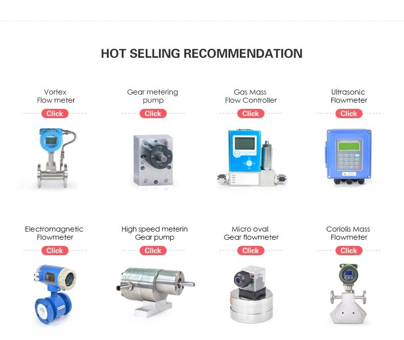 High Accuracy Portable Natural Flowmeter Ammonia Hydrogen Argon Wet Test Gas Digital Flow Meter Gas Mass Flow Controller Air Flow Meter