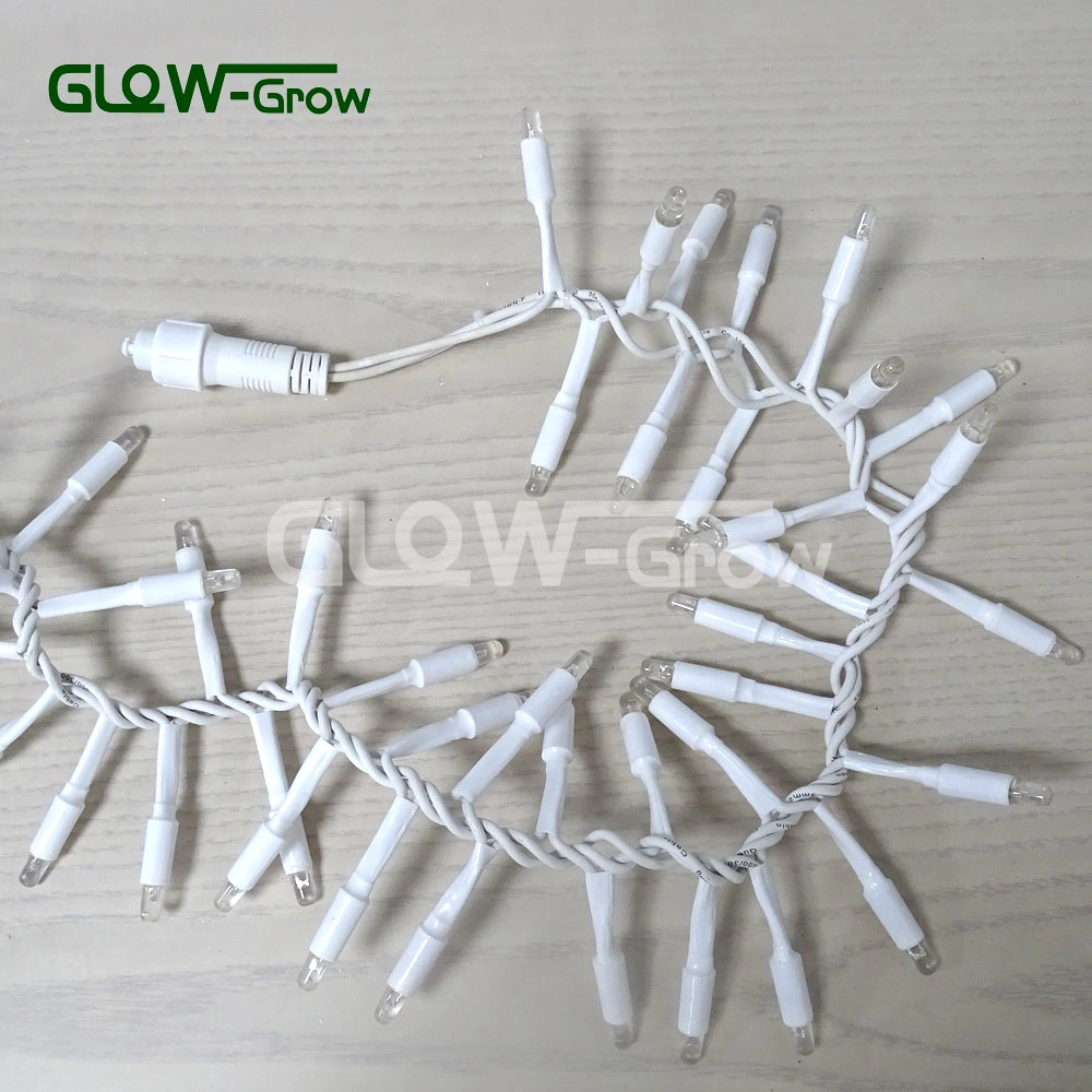 IP65 Black White Rubber Cable Christmas LED Cracker Cluster Fairy Holiday String Light for Outdoor Mall Street Event Wedding Window House Use
