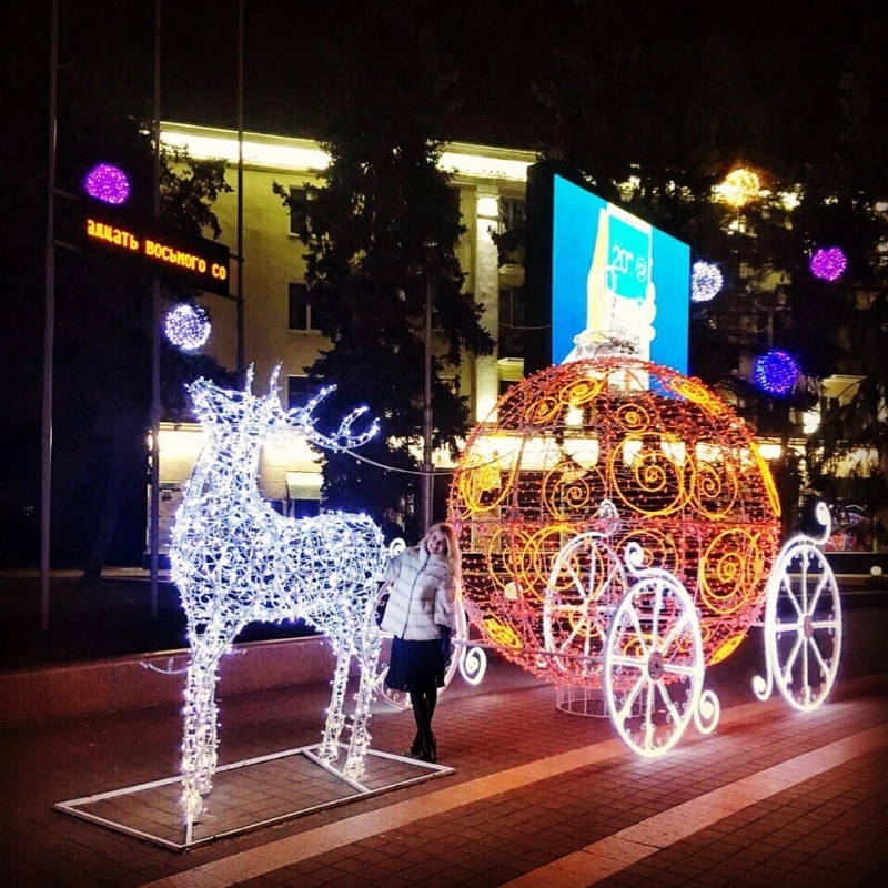 3D Animal Christmas Decorations Motif Lights Horse Carriage Wedding Park Garden Decors Royal Cinderella Princess Decorative Lamps