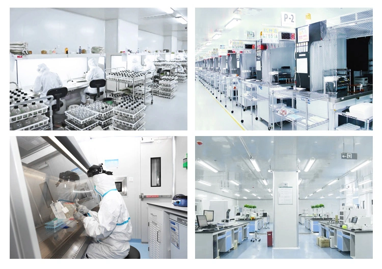 China Pharmacy Laboratory Biological Safety Cabinet Class2 Vertical Laminar Air Flow Biosafety Cabinet Class II for Lab