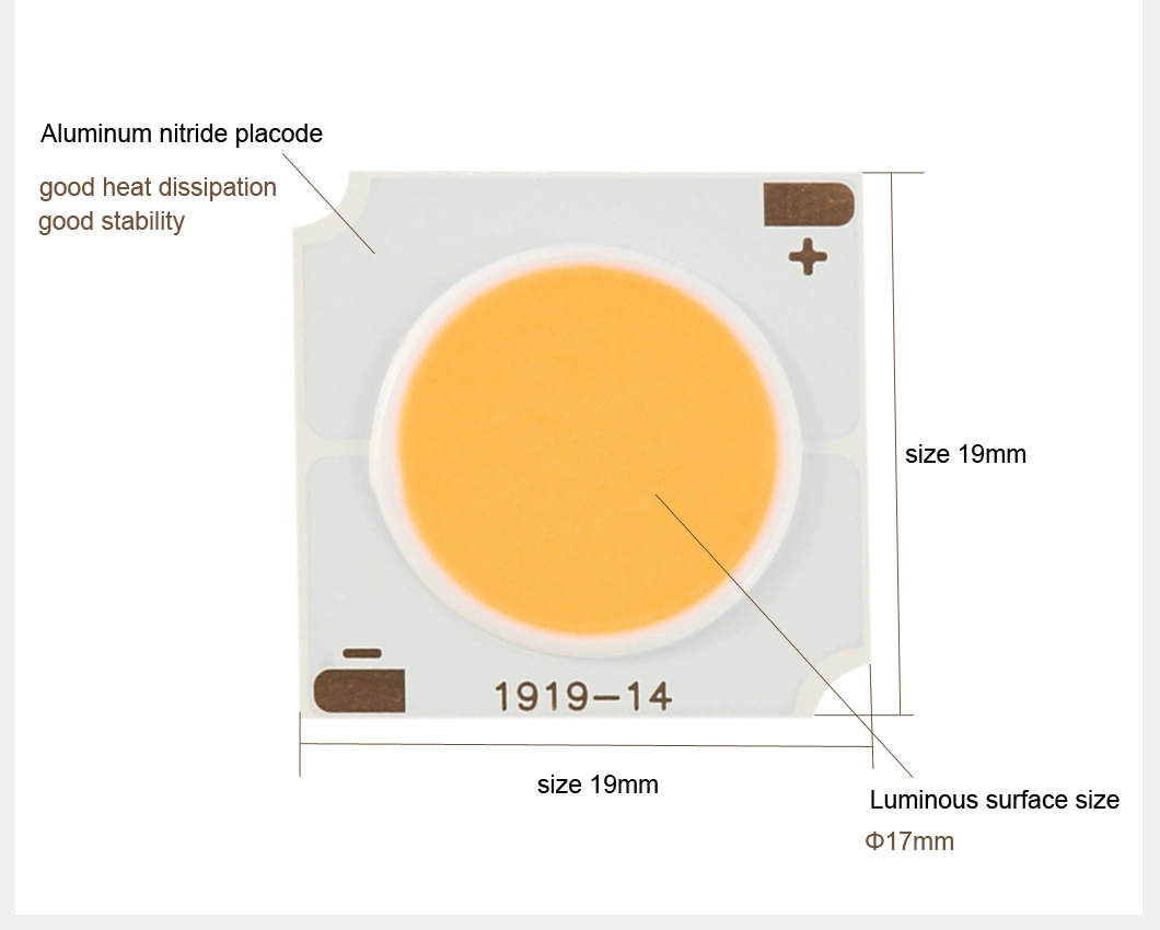 High Power 12W 20W 30W 36W 50W 19*19mm Warm White COB LED Chip LED Diode