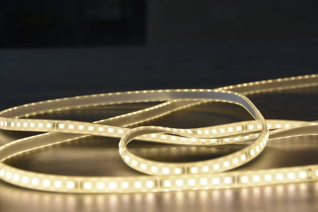 220V waterproof Strip SMD2835 120d Flex/Rope Light LED Strip Light