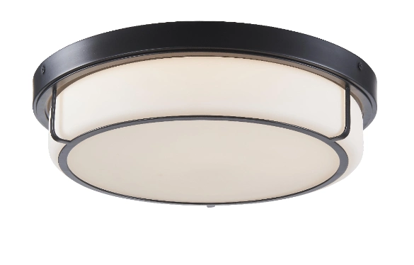 Modern 13 Inch Round LED Ceiling Light with Opal Glass (C3006)