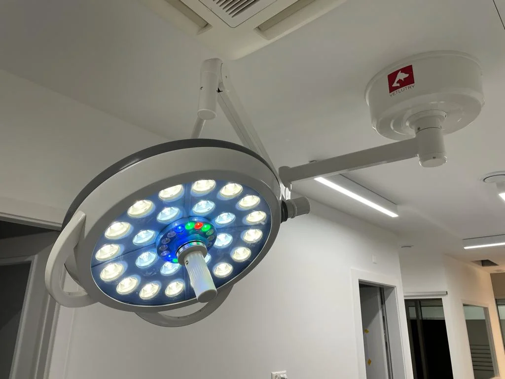 Double Headed LED Surgical Light Custom Surgical Light Ceiling Operating Lamp