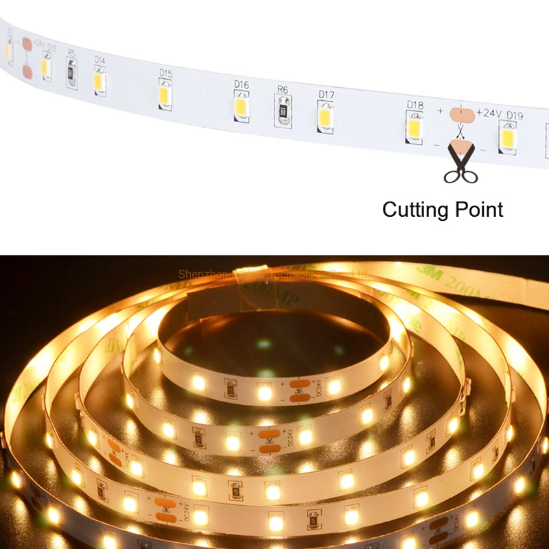 Factory Wholesale Bulkbuy IP20 Multicolor TV Backlight Cabinet DC24V 12V Decoration Lighting Flexible SMD2835 300 Shenzhen LED Strip Light