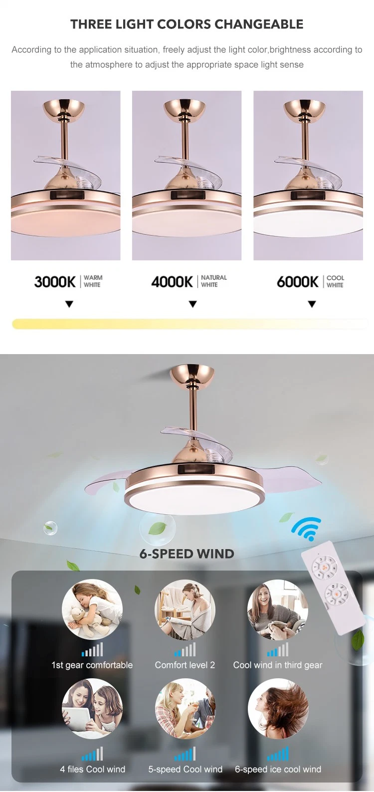 Energy Saving Electric Ceiling Fan Lamp DC Motor Remote Control Modern Mute Ceiling Fan with Light