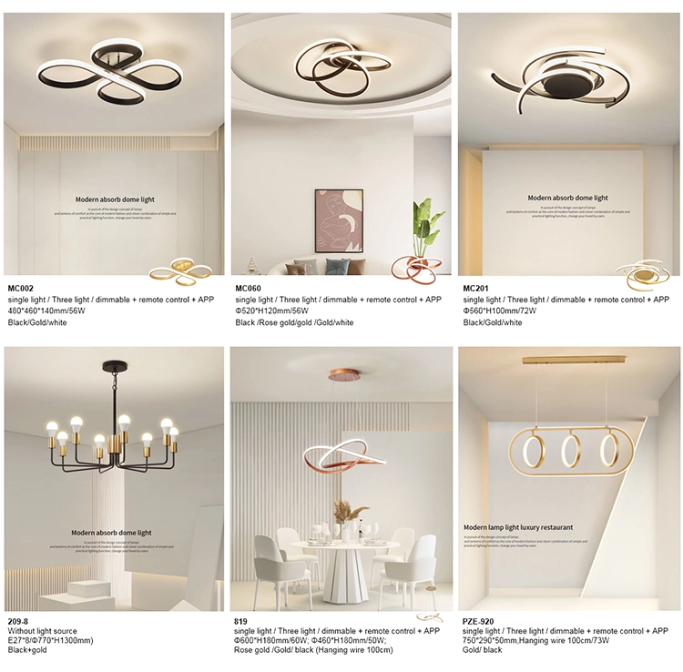 Modern LED Ceiling Lighting Surface Mounted LED Lamp Suspension Ceiling Light