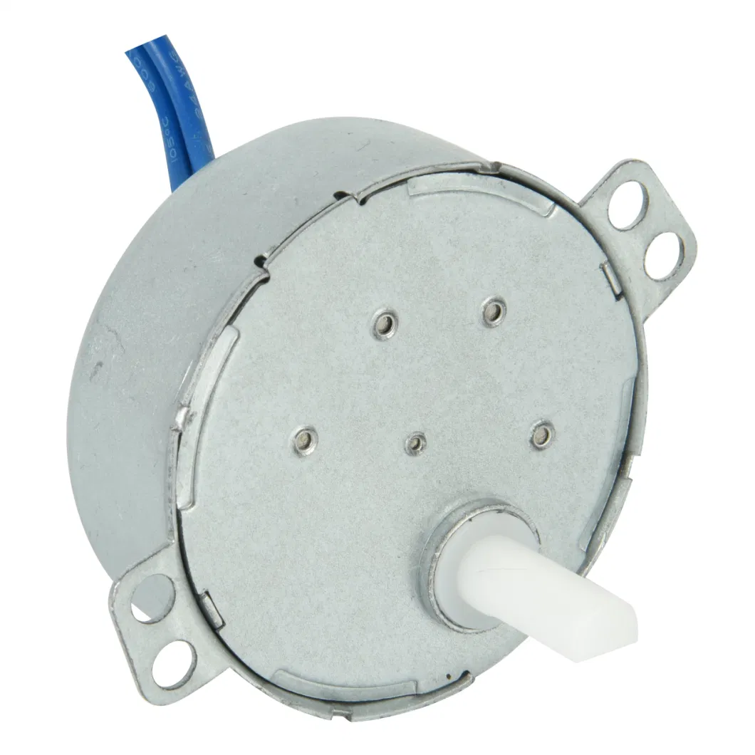 8rpm 20.5mm Thick 49tyj-C Synchronous Motor with Plastic Shaft