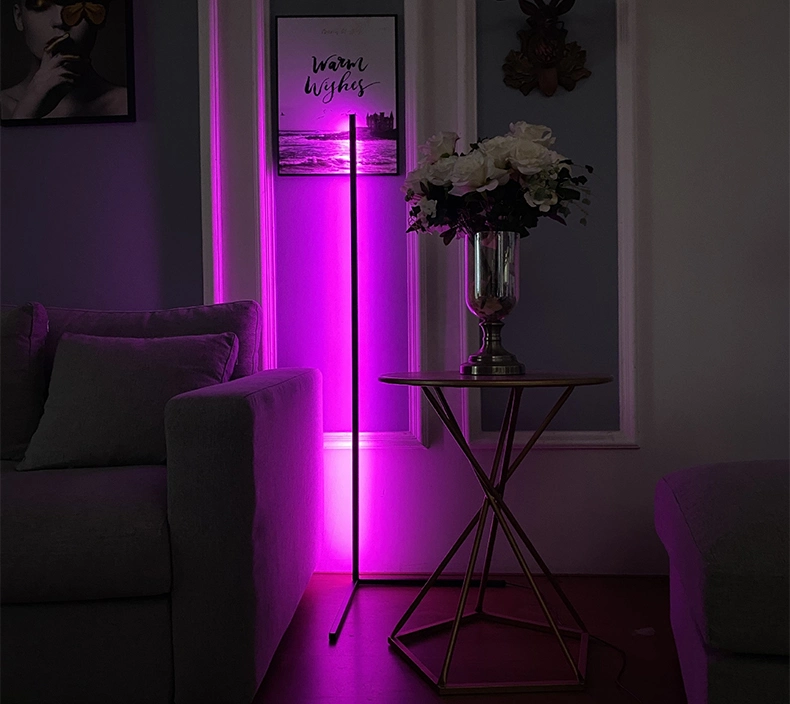 Corner Floor Lamp Color Changing Mood Lighting For Bedroom