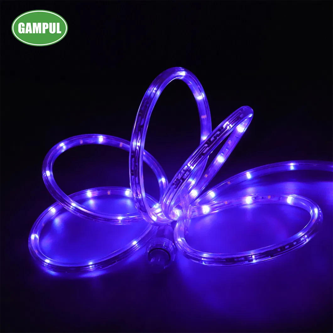 China Manufacturer 24 FT. Indoor or Outdoor LED RGB Accent Lighting Rope Light / LED Christmas Decoration Lighting