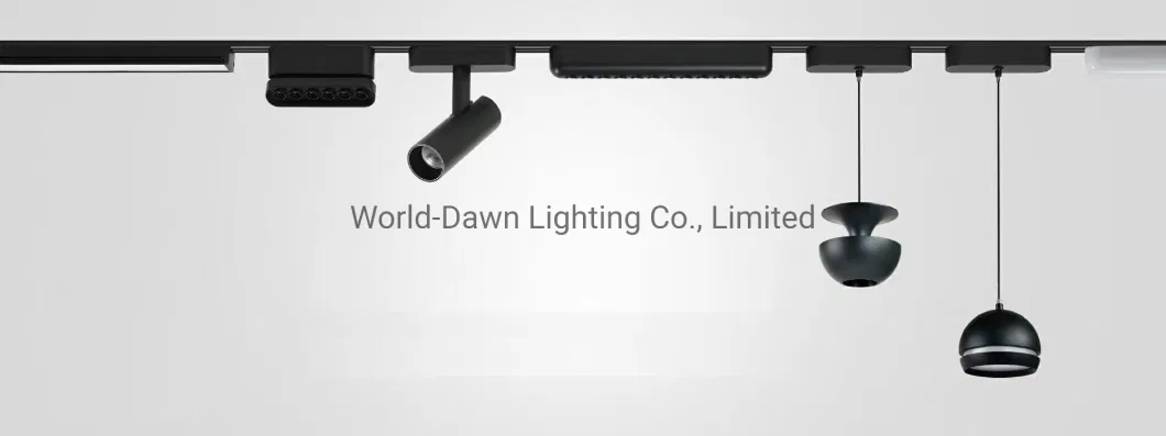 Connectable DC48V Super Slim Home Commercial Lighting Surface Mounted Magnetic Track LED Linear Light