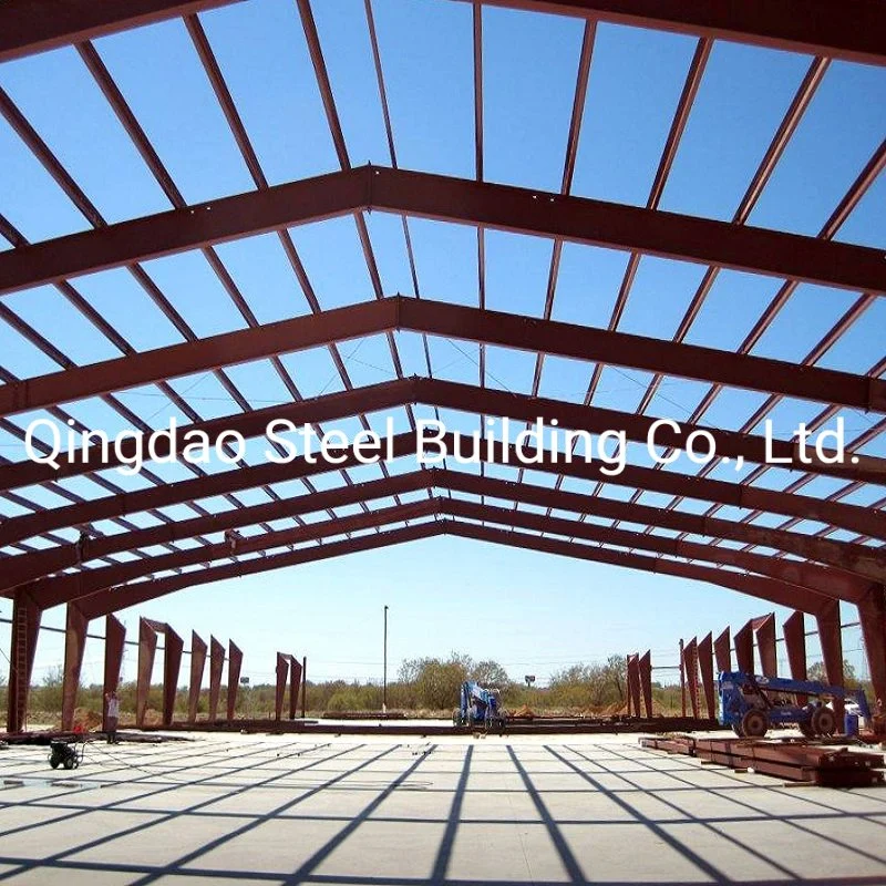 Large Span Steel Structure Framed Distribution Warehouse Store Construction