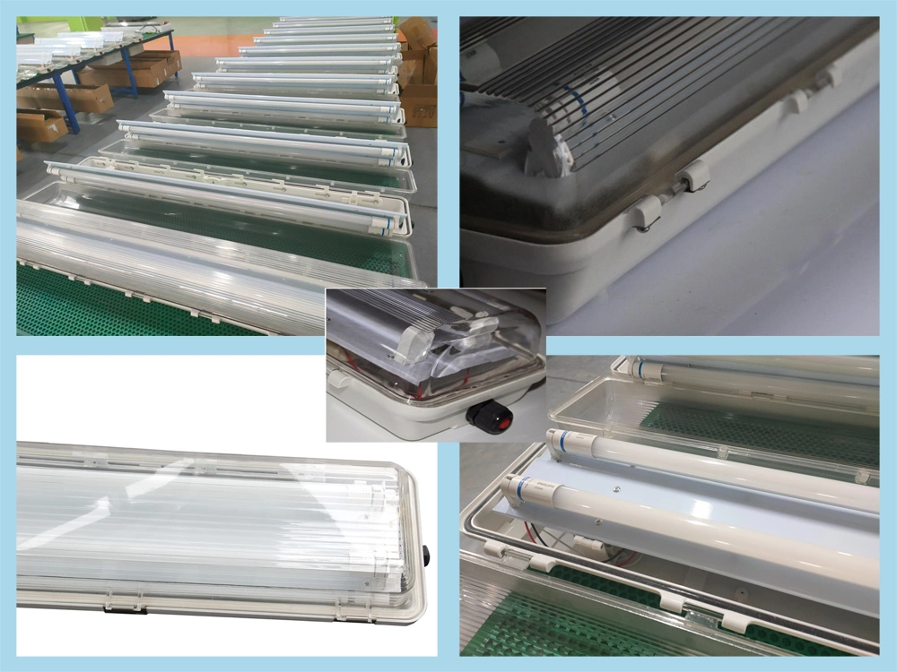 Atex LED Explosion Proof Tube Linear Light Light IP66 Fluorescent Lighting