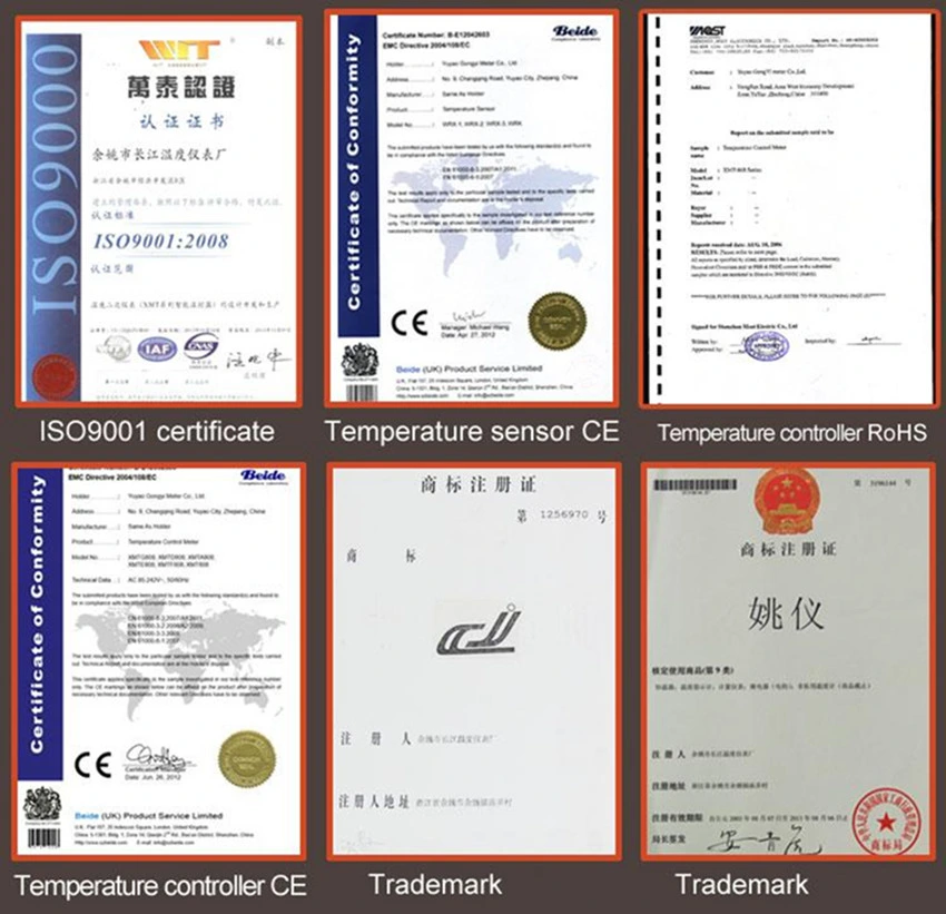 General Sensor Input, 4-20macurrent Signal (insulate) Continuous Pid Adjustment (XMTF-808C)