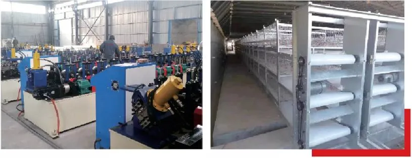 Animal Husbandry Poultry Equipment Good Price Animal Husbandry Poultry Breeding Equipment Used for Poultry/Chicken/Goose/Cattle with Lighting System