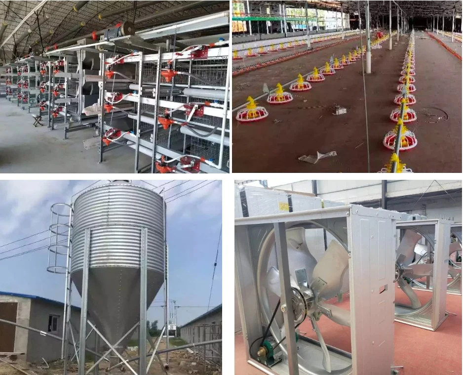 Animal Husbandry Poultry Equipment Good Price Animal Husbandry Poultry Breeding Equipment Used for Poultry/Chicken/Goose/Cattle with Lighting System