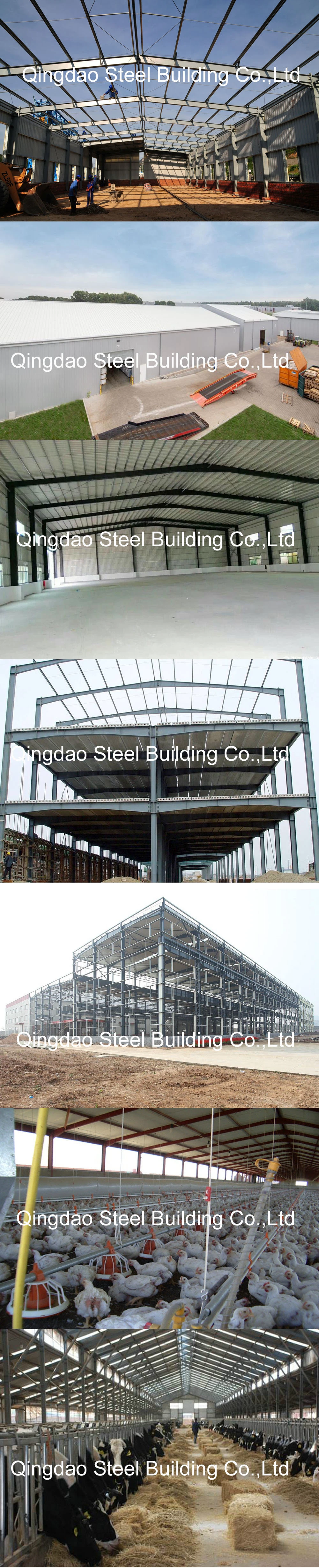 Large Span Steel Structure Framed Distribution Warehouse Store Construction