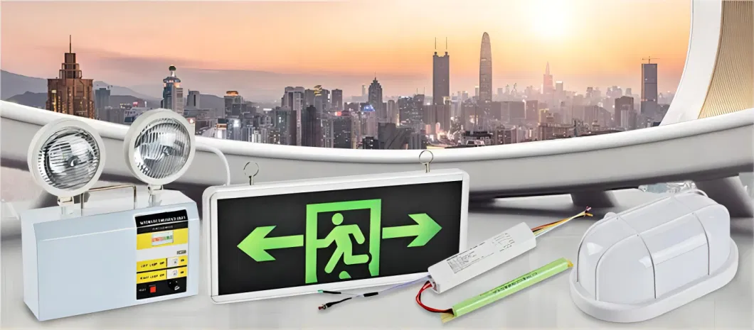 Wholesale CE RoHS Wall Mounted 3W Green Single/Double Sided Emergency Exit Sign Light