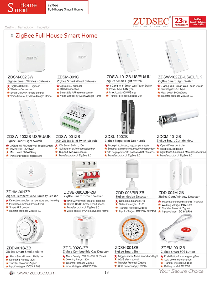 Non-Grounding Electrical Wall Socket Smart WiFi Plug for Smart Home