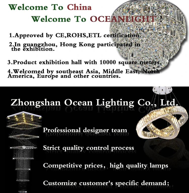 Modern LED Fiber Optic Lighting (OM100)