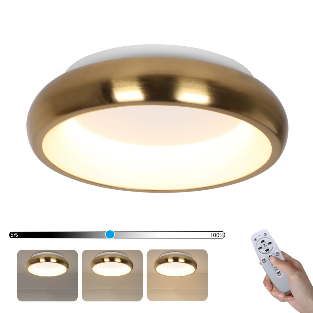 Masivel Factory Interior Home Decorative LED Ceiling Lamp Modern Round Ceiling Light