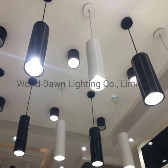 Elegant Home Lighting Surface Mounted Downlight Suspended Hanging Ceiling Lights