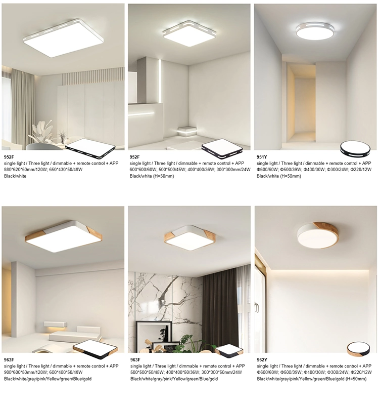 Modern LED Ceiling Lighting Surface Mounted LED Lamp Suspension Ceiling Light