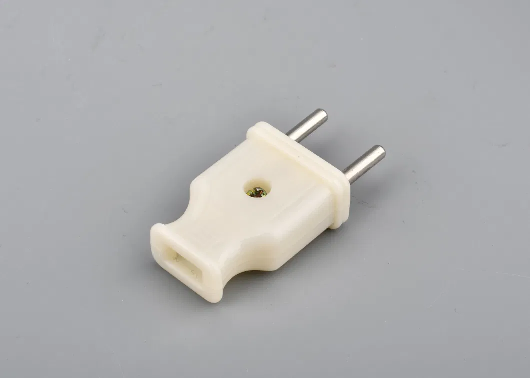 Vietnam Standard 10A 250V 2 Pin Type Electrical Rewireable Power Round Plug
