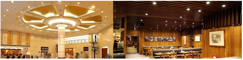 Elegant Home Lighting Surface Mounted Downlight Suspended Hanging Ceiling Lights