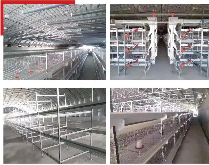 Animal Husbandry Poultry Equipment Good Price Animal Husbandry Poultry Breeding Equipment Used for Poultry/Chicken/Goose/Cattle with Lighting System