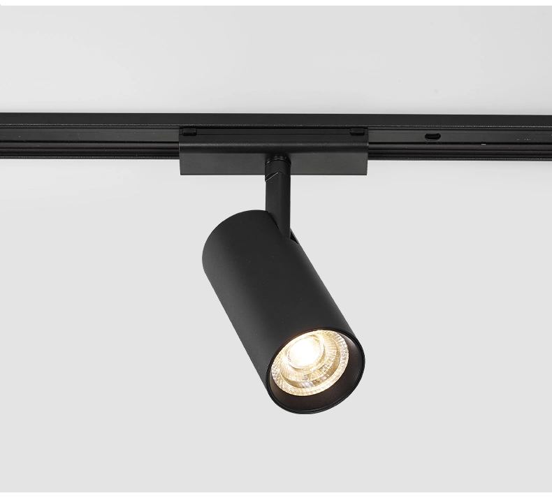 Dimmable Magnetic Rail Track Fixtures Lighting for Residential and Retail Accent Illumination