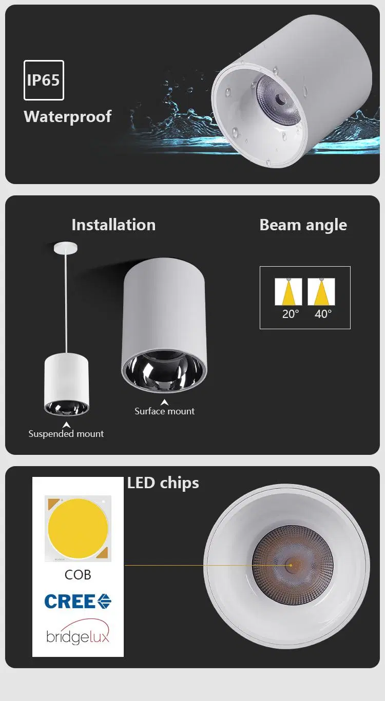 10W 20W 30W Suspended Surface Mounted LED Spot Ceiling Light Lamp Downlight