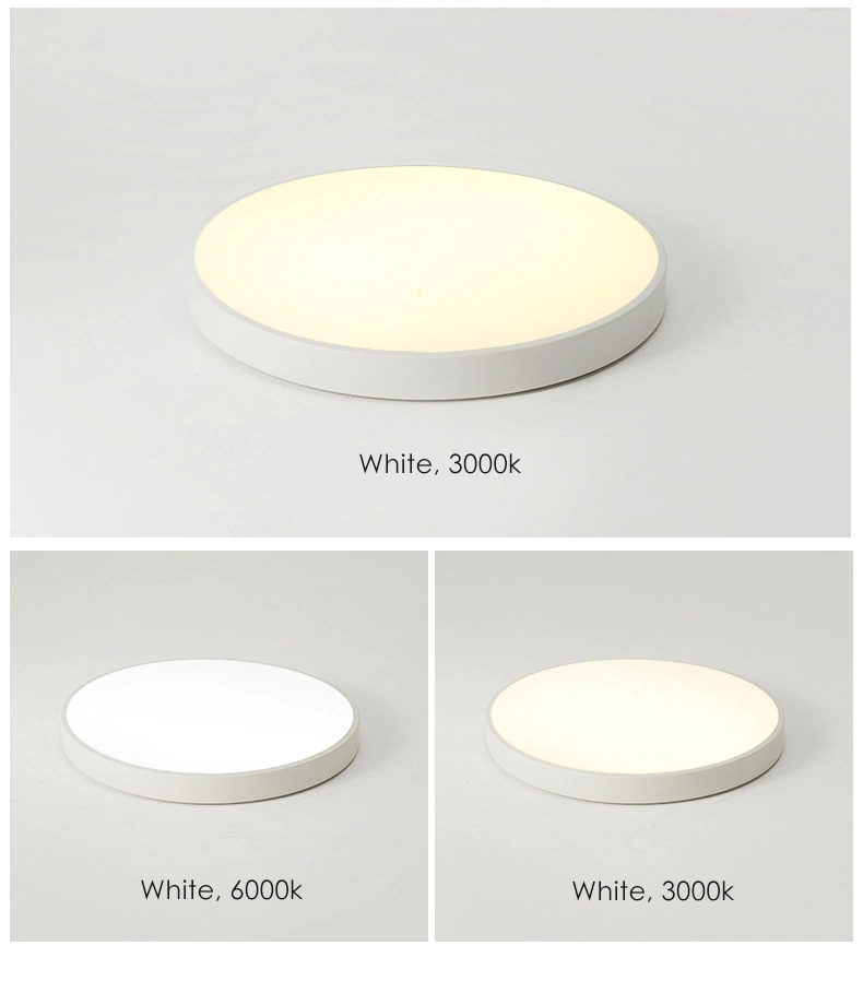 Modern LED Ceiling Lighting Surface Mounted LED Lamp Suspension Ceiling Light