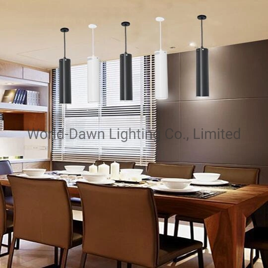 Elegant Home Lighting Surface Mounted Downlight Suspended Hanging Ceiling Lights