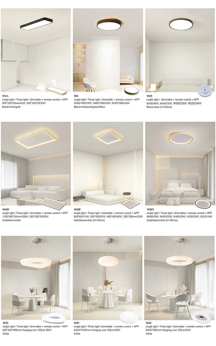 Modern LED Ceiling Lighting Surface Mounted LED Lamp Suspension Ceiling Light