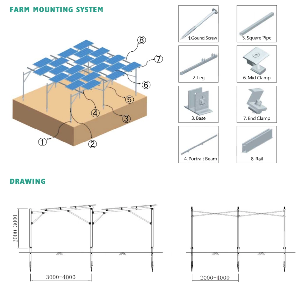 Reliable Solar Panel Ground Mounting Solution Sustainable Solar PV Farm Bracket
