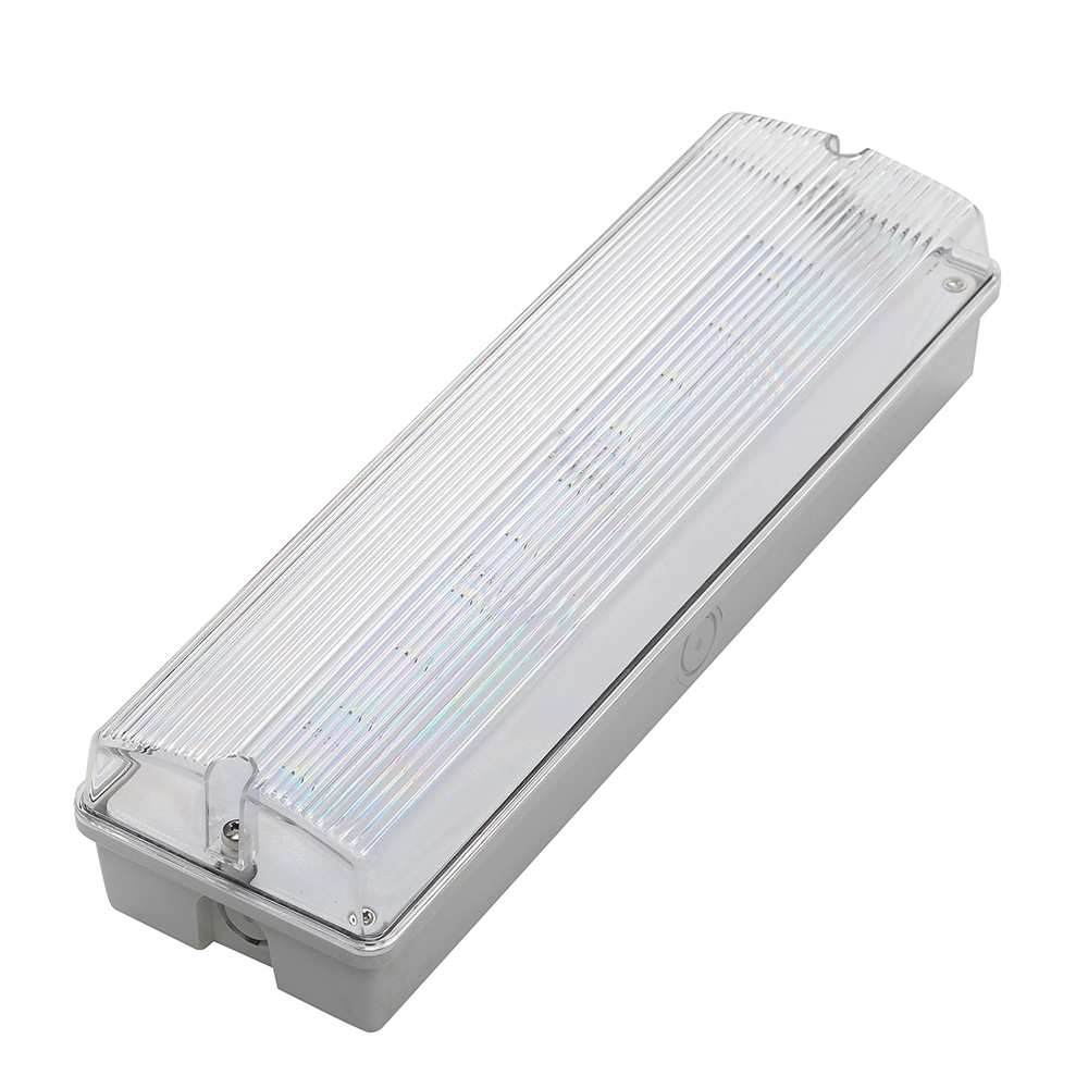 3 Hours Operation LED Emergency Wall Surface IP65 Waterproof Light