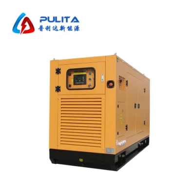 80kw 100kVA Natural Gas CNG LPG Generator Water-Cooled Super Silent Home Professional Supplier
