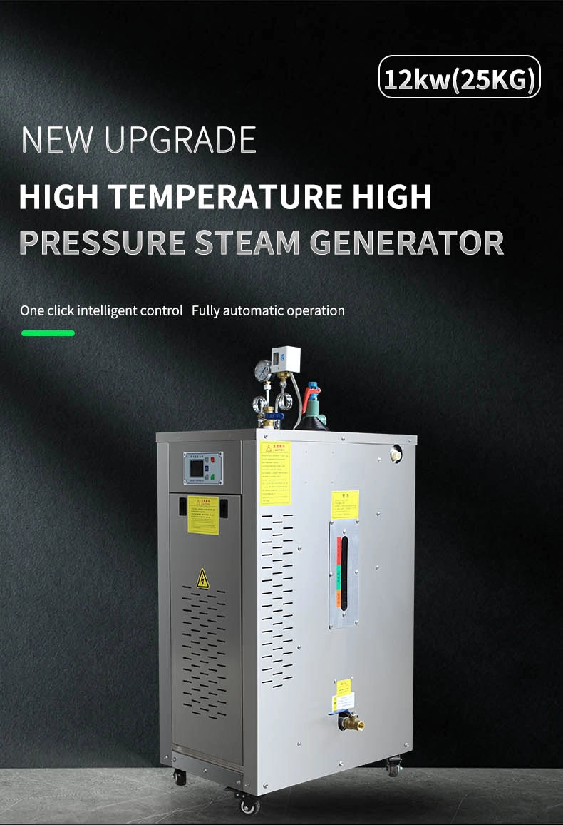 12 Kw Electric Heating Steam Generator for Food Processing